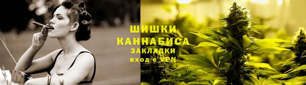 ПСИЛОЦИБИНОВЫЕ ГРИБЫ Козельск