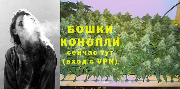 шишки Козловка
