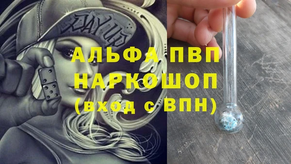 стафф Дубна