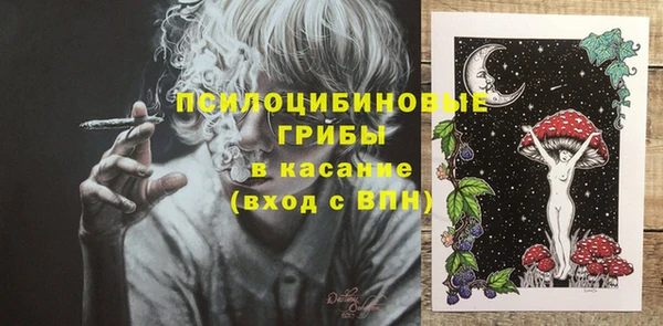 ПСИЛОЦИБИНОВЫЕ ГРИБЫ Козельск