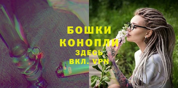 шишки Козловка