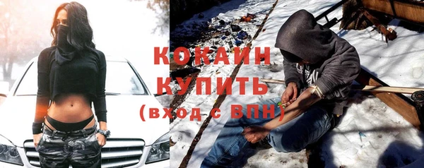 шишки Козловка